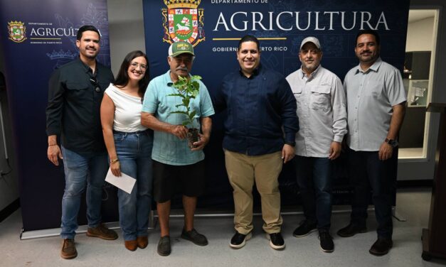 Sembrando Futuro: Agricultura y PR Coffee Roasters Inician Entrega de 150,000 Árboles de Café en Puerto Rico