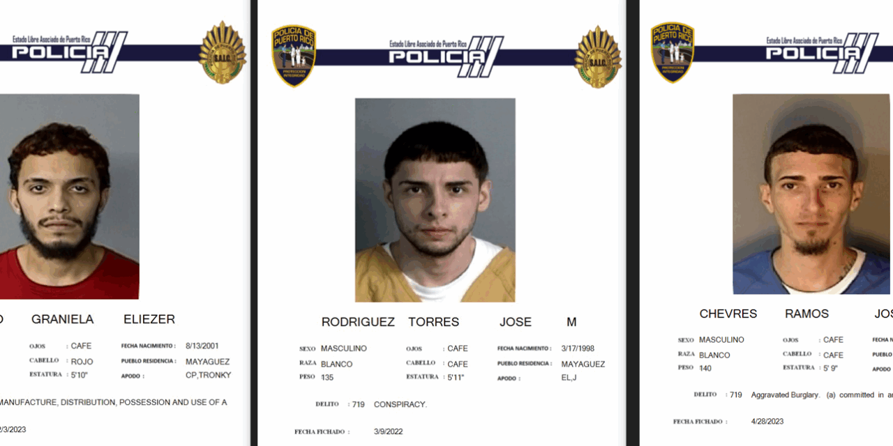 Capturan a uno de los 12 más buscados en operativo en Mayagüez; muere uno de sus acompañantes tras enfrentamiento con agentes