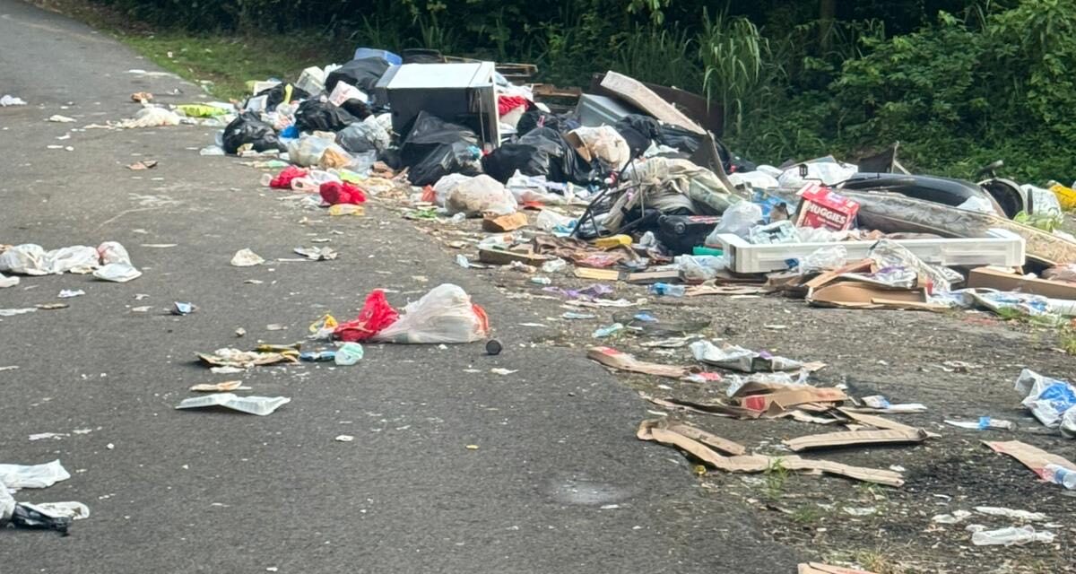 Intensifican esfuerzos para el recogido de escombros y combatir los vertederos clandestinos en Guayanilla