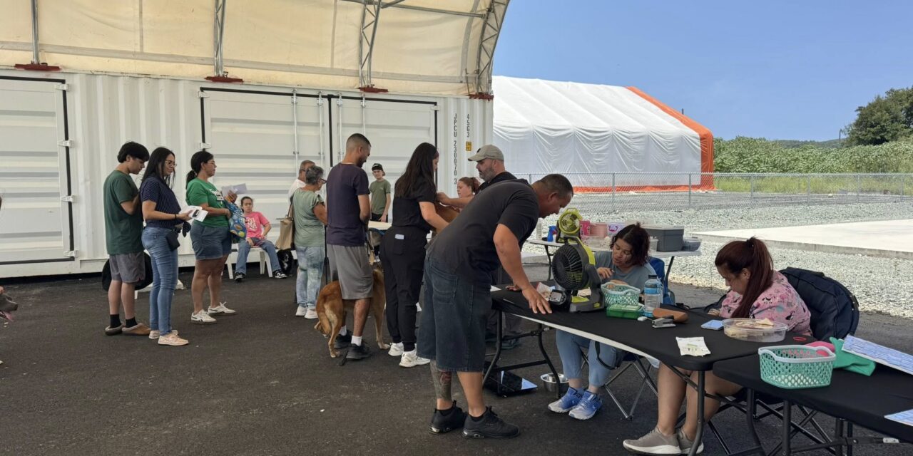 Éxito rotundo en Feria de Vacunación de Mascotas organizada en Yauco