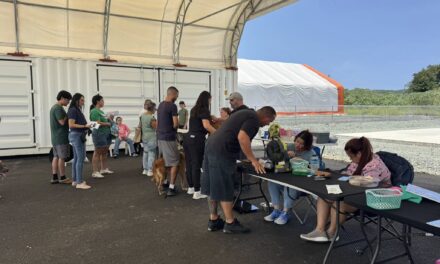 Éxito rotundo en Feria de Vacunación de Mascotas organizada en Yauco