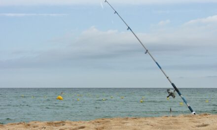 Celebran Torneo de Pesca de Orilla para niños en Barceloneta