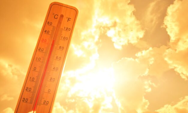 Aumentan los riesgos a la salud por el calor: Urgen medidas de prevención para proteger a niños, adultos mayores y mascotas