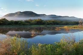 Intensificarán la lucha por la Laguna de Guánica como homenaje al biólogo Viqueira Ríos