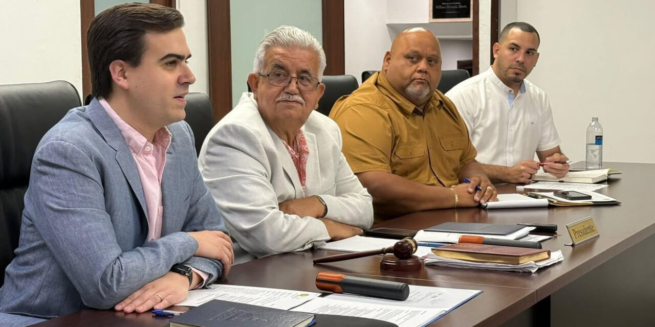 Alcaldes del PPD rechazan proyecto cameral sobre status, por unanimidad se unen a expresiones de Pablo José Hernández