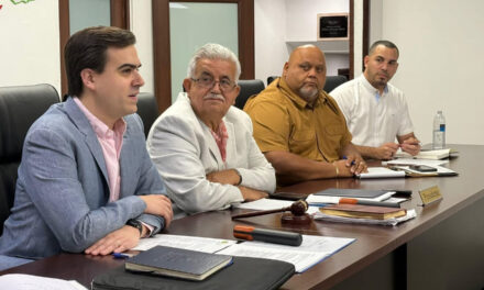 Alcaldes del PPD rechazan proyecto cameral sobre status, por unanimidad se unen a expresiones de Pablo José Hernández