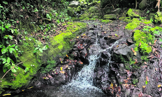 Hacienda Monte Carmelo Cascadas y Café abre sus puertas como nuevo atractivo ecoturístico en Guayanilla