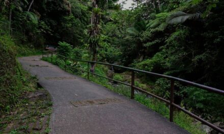 Senderistas se preparan para la nueva “Ruta Hidroeléctrica: Villalba a Orocovis”