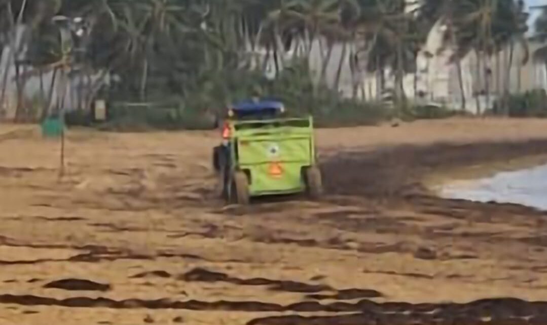 DRNA remueve sargazo de playa en Luquillo