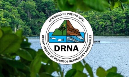 DRNA Aclara que sus Vehículos Oficiales Cumplen con la Registración al Día
