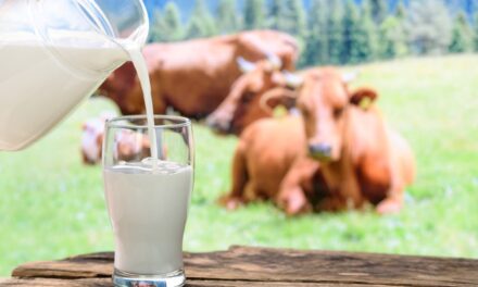 Productores de leche y líderes agrícolas favorecen aumento en compensación y extensión de incentivos