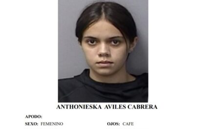 Solo la Menor Tendrá Defensa de Asistencia Legal en Caso por Asesinato en Aibonito