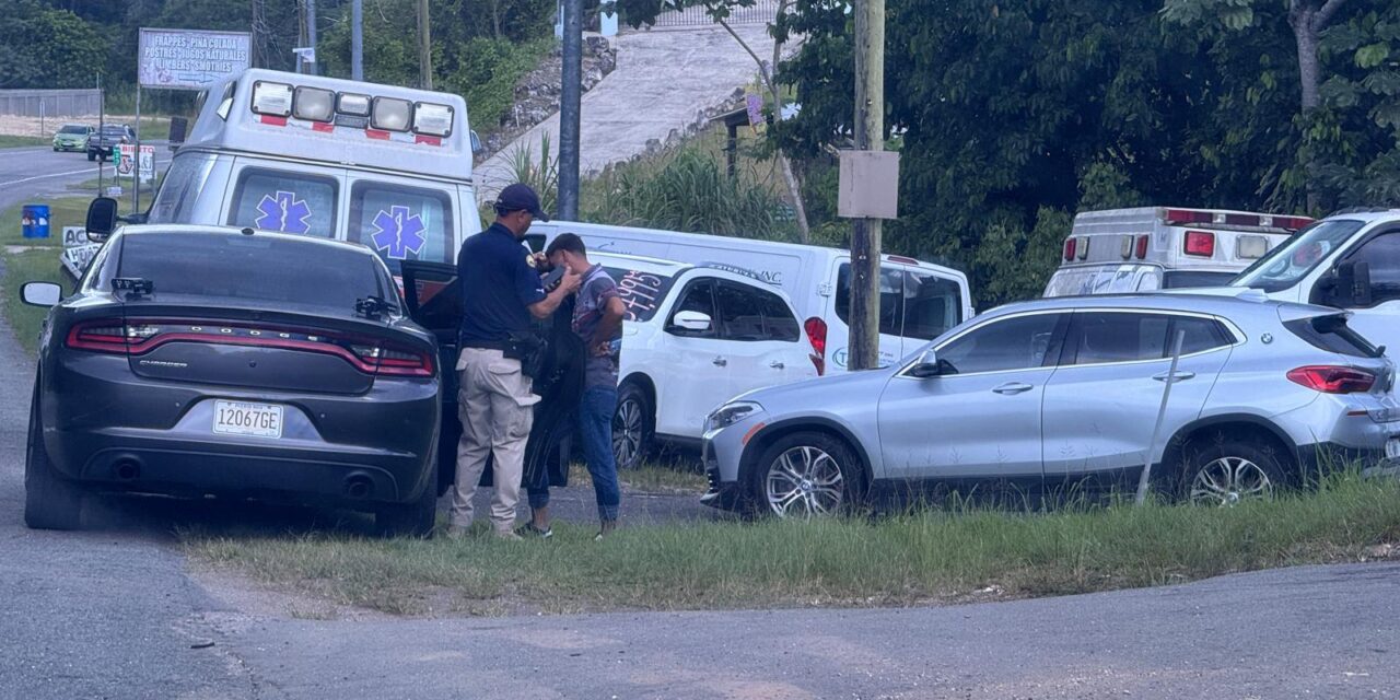 AGENTES DE LA DIVISIÓN DE VEHÍCULOS HURTADOS DE UTUADO INSPECCIONAN, CONCESIONARIOS CLANDESTINOS
