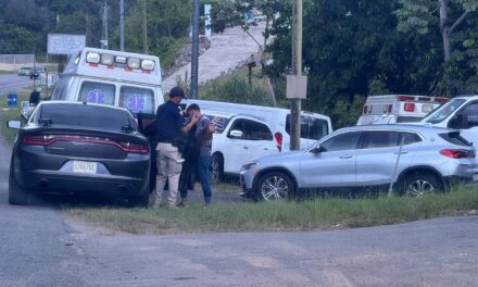 AGENTES DE LA DIVISIÓN DE VEHÍCULOS HURTADOS DE UTUADO INSPECCIONAN, CONCESIONARIOS CLANDESTINOS