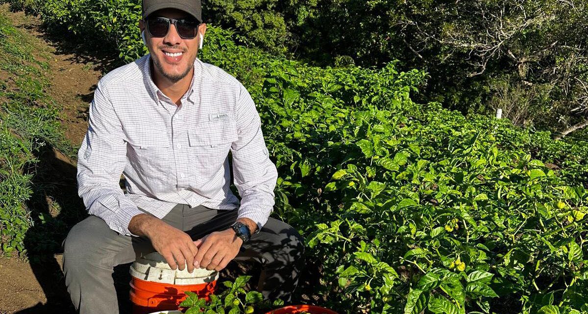 El jíbaro sin arrugas: cuando la juventud cultiva la tierra