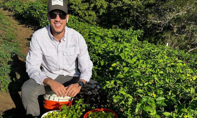 El jíbaro sin arrugas: cuando la juventud cultiva la tierra