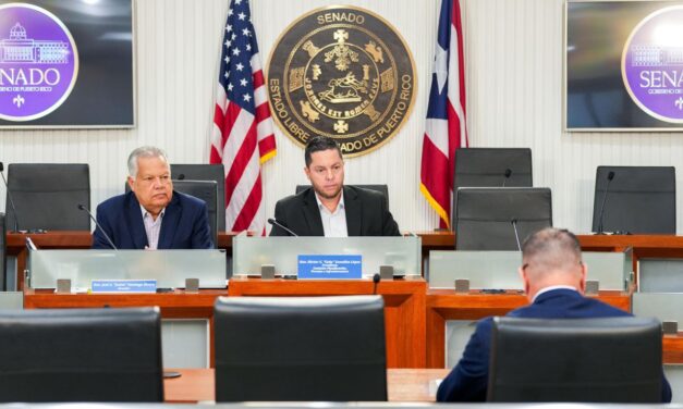 Comisión senatorial evalúa proyecto de ley para fortalecer la infraestructura crítica de Puerto Rico