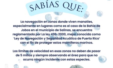 DRNA inicia campaña de concientización sobre navegación en áreas de manatíes