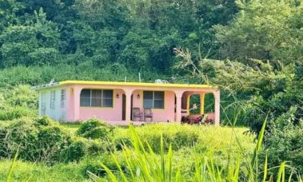 Dueño de casita usada en cortometraje de Bad Bunny demanda por $6 millones