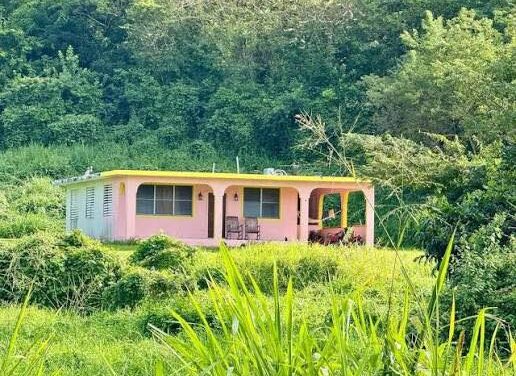 Dueño de casita usada en cortometraje de Bad Bunny demanda por $6 millones