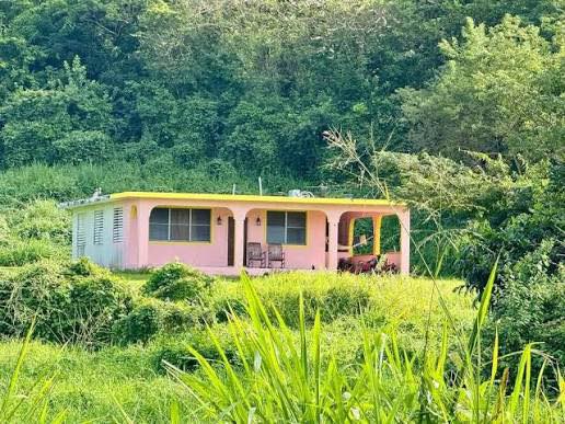 Dueño de casita usada en cortometraje de Bad Bunny demanda por $6 millones