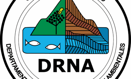 DRNA expide $12,150 en multas en operativos el pasado fin de semana