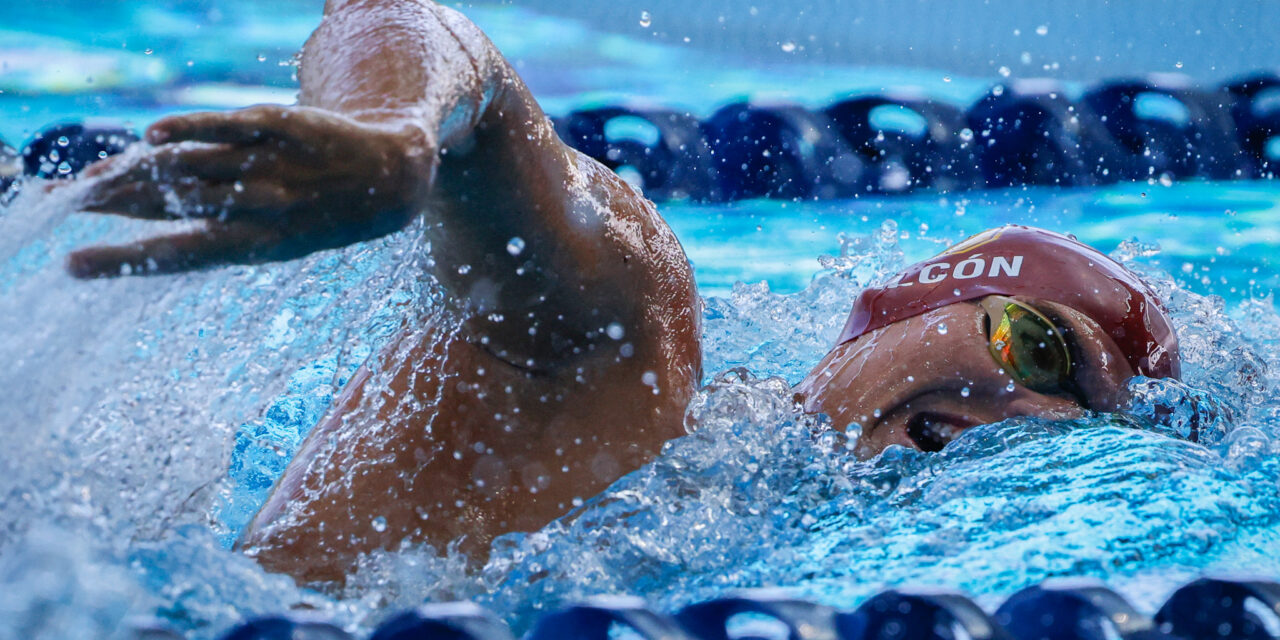 La natación universitaria regresa con fuerza en la LAI