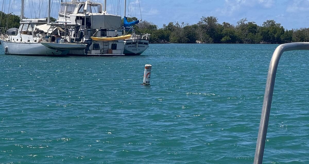 DRNA instala nuevas boyas marítimas para alertar sobre presencia de manatíes en bahía de Salinas