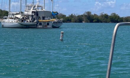 DRNA instala nuevas boyas marítimas para alertar sobre presencia de manatíes en bahía de Salinas