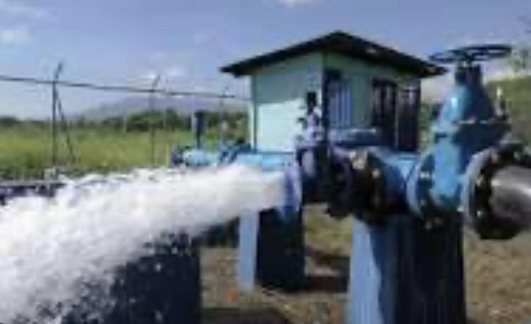 Ombudsman denuncia AAA es la crónica de un desastre anticipado