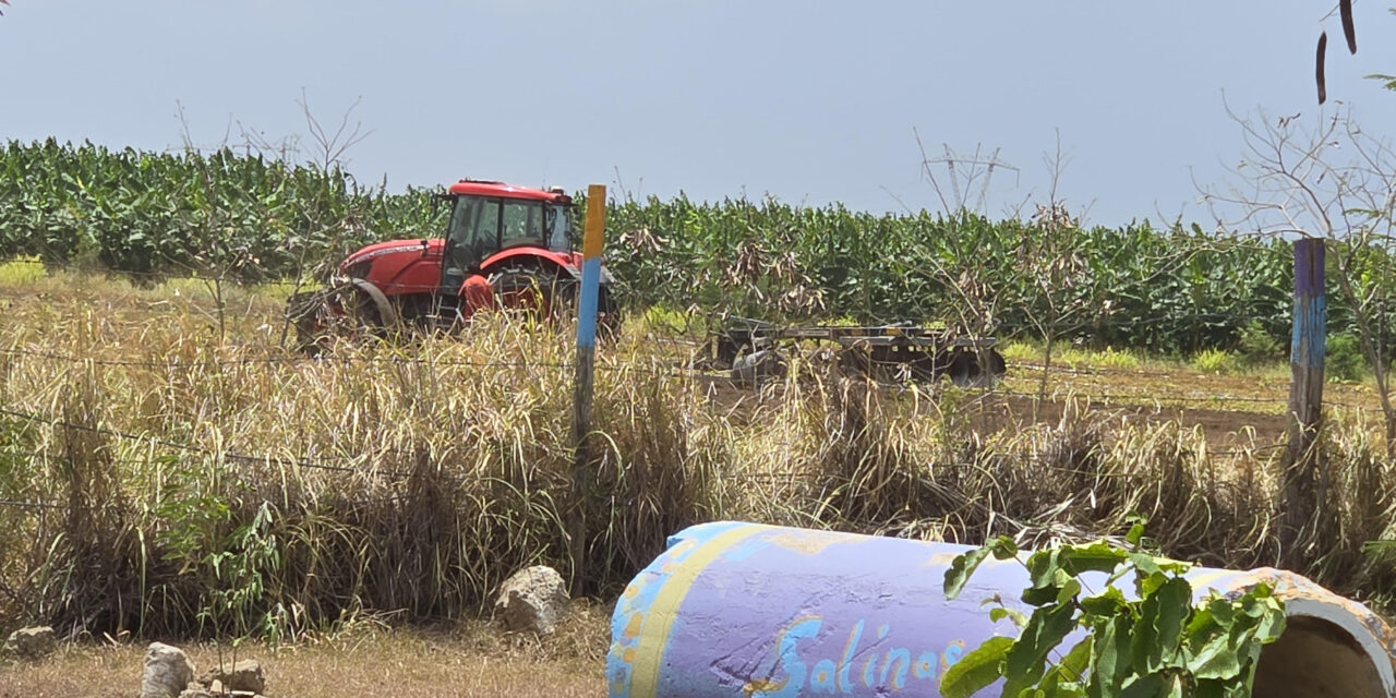 Vecinos de Salinas denuncian que su salud está en peligro por operaciones agrícolas