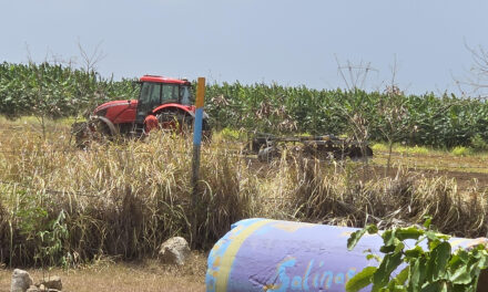 Vecinos de Salinas denuncian que su salud está en peligro por operaciones agrícolas