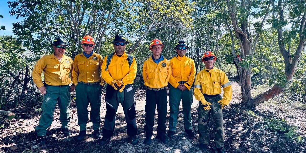 Bomberos forestales del DRNA realizan trabajos de mitigación en el Bosque Estatal de Boquerón