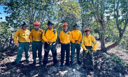 Bomberos forestales del DRNA realizan trabajos de mitigación en el Bosque Estatal de Boquerón