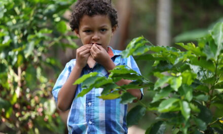 Ofrecen recorridos de café, historia y biodiversidad en Hacienda Buena Vista