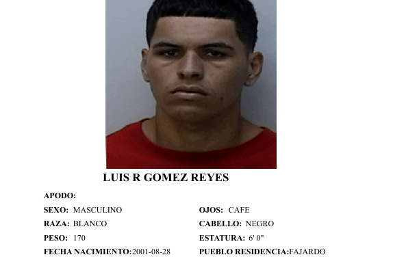 Identifican a las víctimas de masacre en el residencial Puerto Real de Fajardo