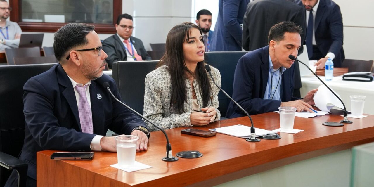 Evalúan crear ley para integrar inteligencia artificial en las subastas públicas del gobierno