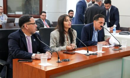 Evalúan crear ley para integrar inteligencia artificial en las subastas públicas del gobierno