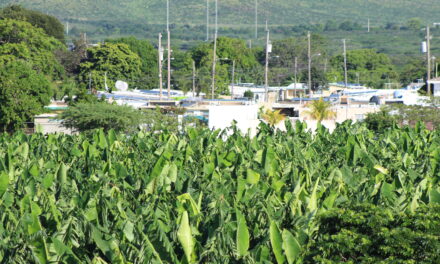 PIP exige acción ante denuncias ambientales y de salud en comunidad de Salinas