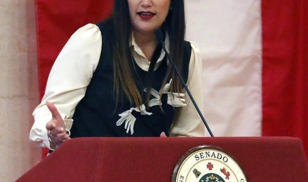 Senado aprueba medida de la Senadora Marially González Huertas para facilitar procesos a personas con impedimentos permanentes