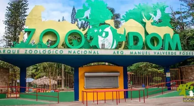 DRNA coordina traslado de especies exóticas ilegales al Zoológico Nacional de República Dominicana
