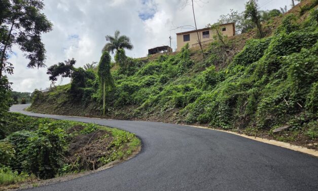 Avanzan los trabajos de repavimentación en el camino Los Ramos, barrio Vegas de Yauco