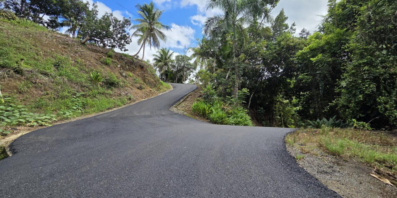 Avanzan los trabajos de repavimentación en el camino Los Ramos, barrio Vegas de Yauco