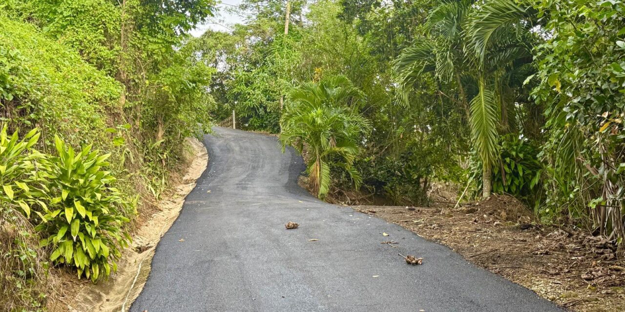 Avanzan los trabajos de repavimentación en el camino Los Ramos, barrio Vegas de Yauco
