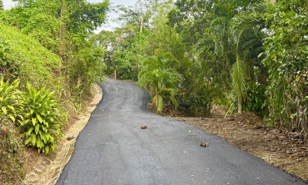 Avanzan los trabajos de repavimentación en el camino Los Ramos, barrio Vegas de Yauco