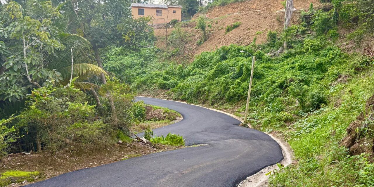 Avanzan los trabajos de repavimentación en el camino Los Ramos, barrio Vegas de Yauco