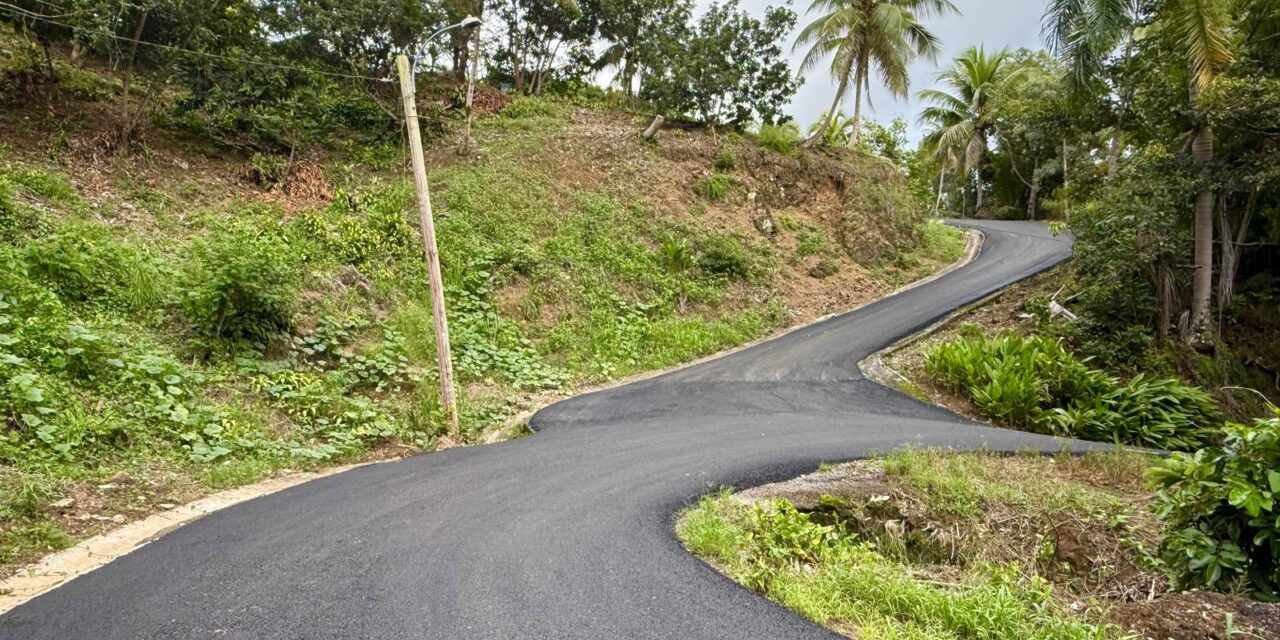 Avanzan los trabajos de repavimentación en el camino Los Ramos, barrio Vegas de Yauco