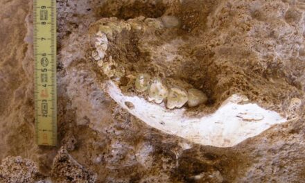 Hallazgo en Marruecos refuerza hipótesis africana del origen humano