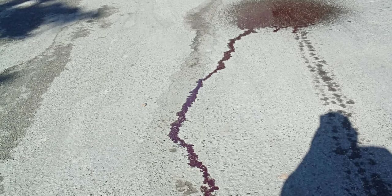 PIP pide investigar el transporte de residuos de animales hacia el vertedero de Ponce