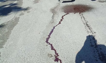 PIP pide investigar el transporte de residuos de animales hacia el vertedero de Ponce